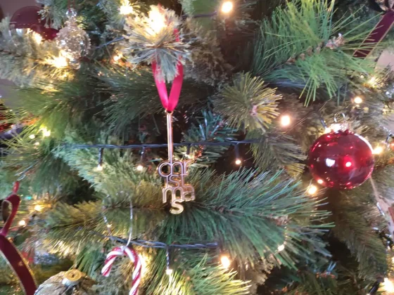 Обзор HMD Fusion: вы готовы к модульным телефонам? фото