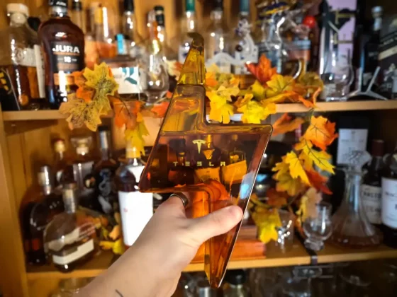 Обзор HMD Fusion: вы готовы к модульным телефонам? фото