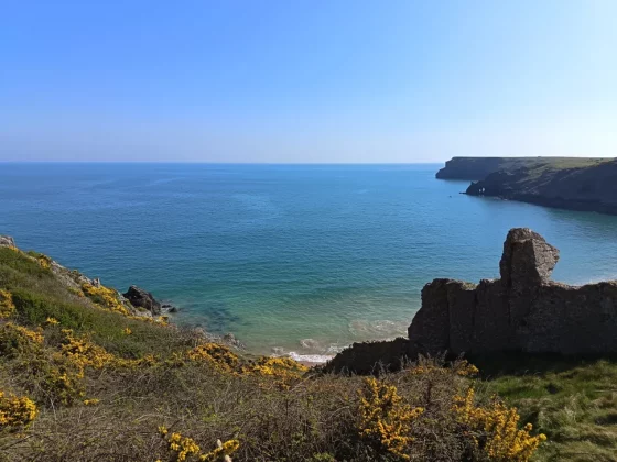 Обзор Honor 400 Lite: бюджетный смартфон с функциями iPhone 16 Pro Max фото