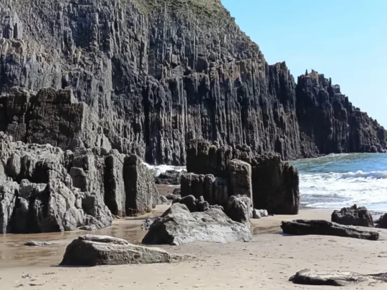 Обзор Honor 400 Lite: бюджетный смартфон с функциями iPhone 16 Pro Max фото