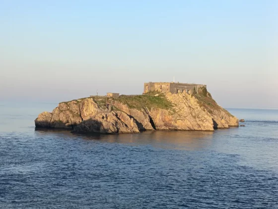 Обзор Honor 400 Lite: бюджетный смартфон с функциями iPhone 16 Pro Max фото