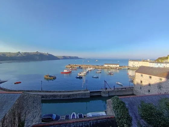 Обзор Honor 400 Lite: бюджетный смартфон с функциями iPhone 16 Pro Max фото