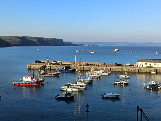 Обзор Honor 400 Lite: бюджетный смартфон с функциями iPhone 16 Pro Max фото