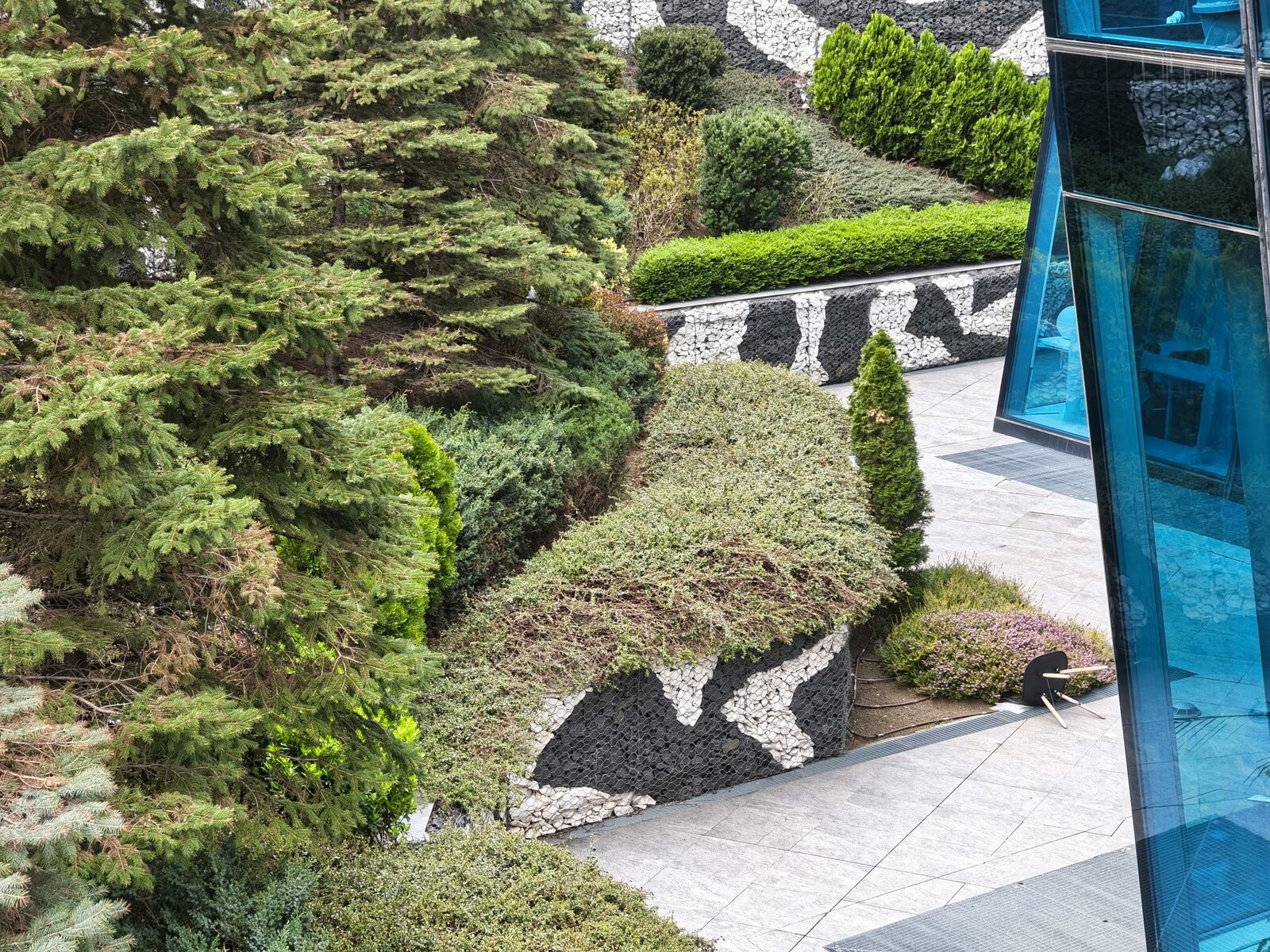 Infinix Note 50 Pro+