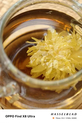 Обзор Oppo Find X8 Ultra: мощные камеры и один большой недостаток фото