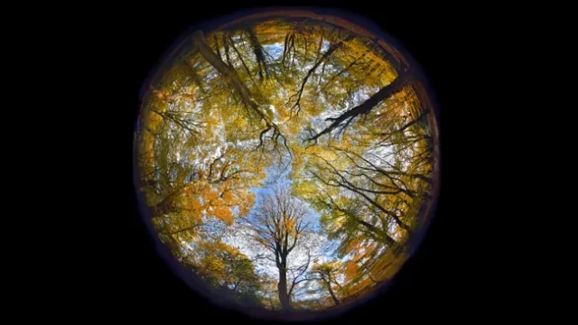 Лучшие линзы рыбий глаз