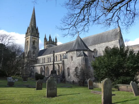 Обзор Lumix ZS99 / TZ99: эта камера заставит вас отказаться от смартфона фото