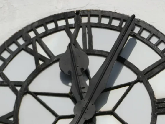 Обзор Lumix ZS99 / TZ99: эта камера заставит вас отказаться от смартфона фото