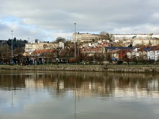 Обзор Moto G15: большая батарея, маленькая цена фото