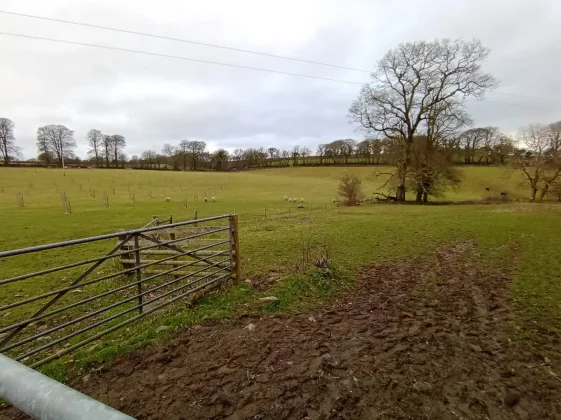 Обзор Moto G15: большая батарея, маленькая цена фото