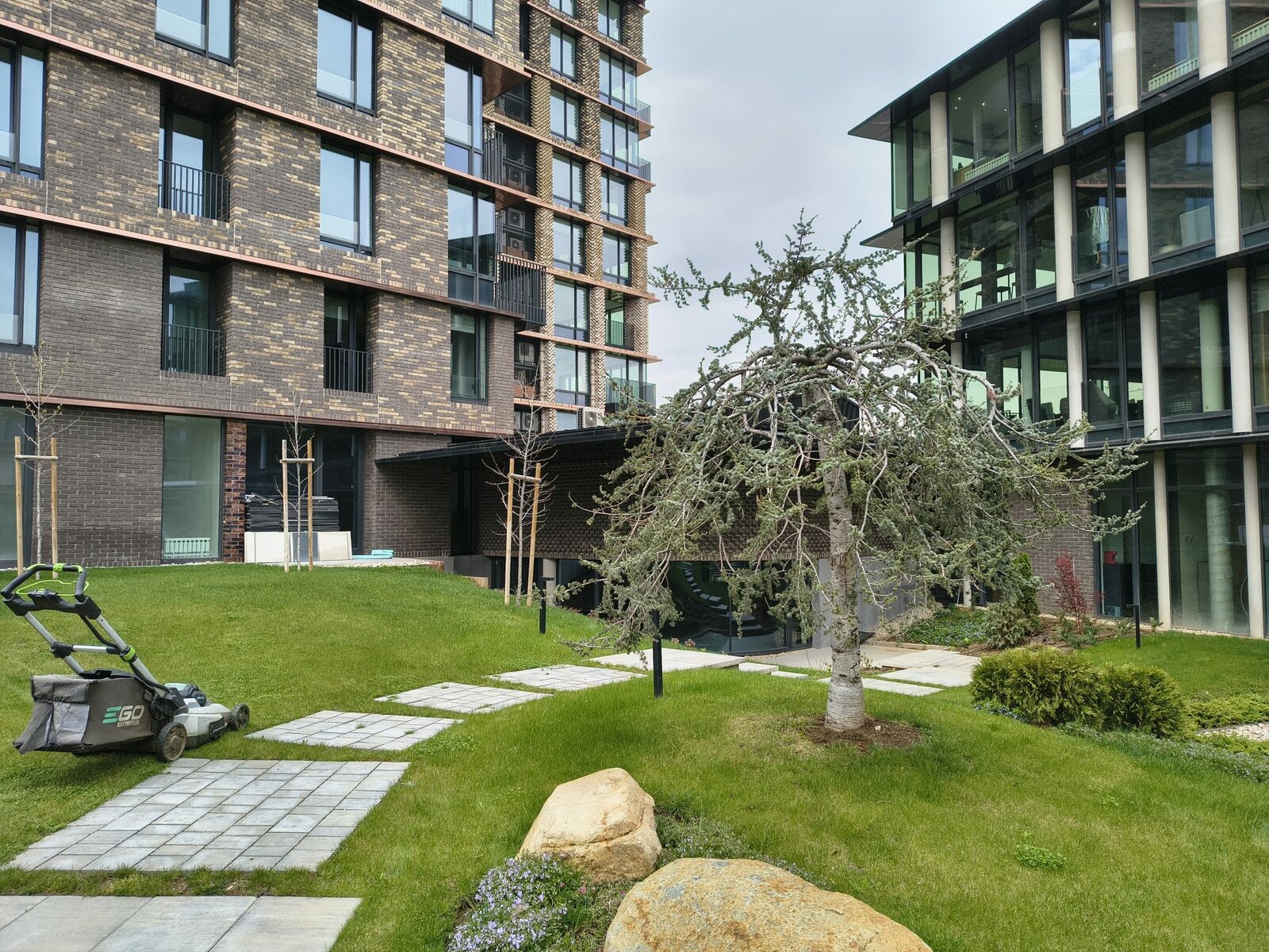 Motorola Edge 60 Fusion