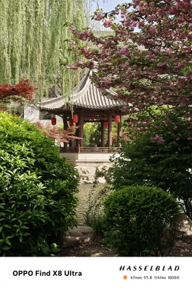 Обзор Oppo Find X8 Ultra: мощные камеры и один большой недостаток фото