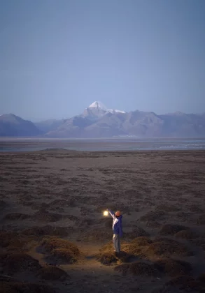 Обзор Oppo Find X8 Ultra: новый король мобильной фотографии фото