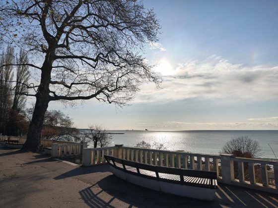 Обзор Oppo Find X8 Ultra: почти идеальный телефон фото