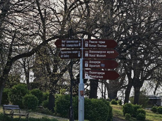 Обзор Oppo Find X8 Ultra: почти идеальный телефон фото