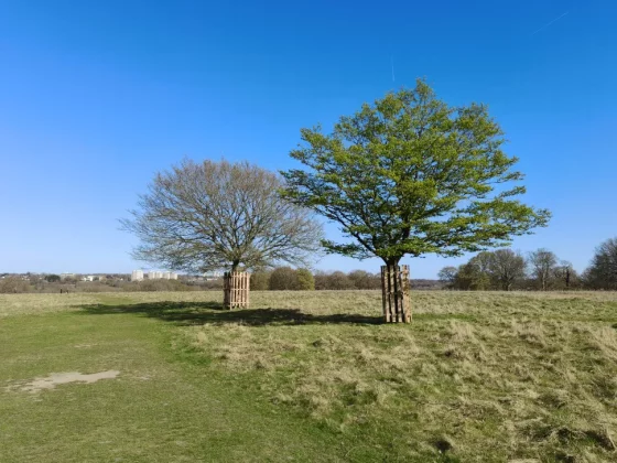 Обзор Oppo Reno 13 Pro: одна деталь мешает ему обойти Pixel 9a фото