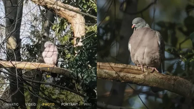 Оптический зум Оптический зум против цифрового: в чем разница?