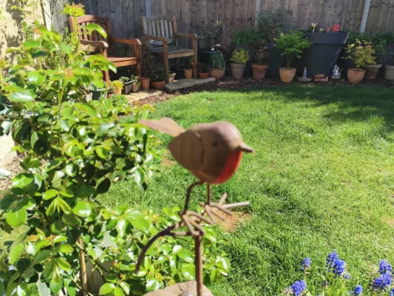 Обзор Oukitel WP200 Pro: телефон и смарт-часы в одном флаконе фото