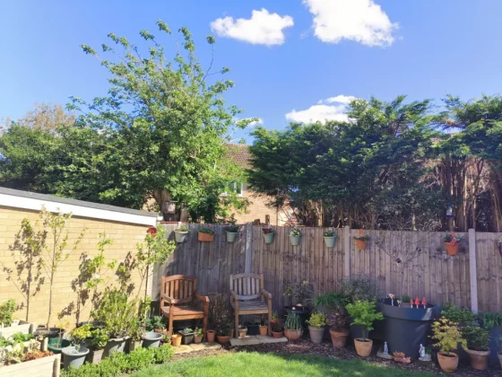 Обзор Oukitel WP200 Pro: телефон и смарт-часы в одном флаконе фото