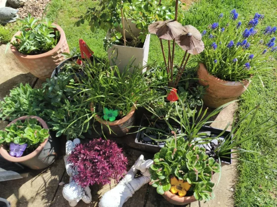 Обзор Oukitel WP200 Pro: телефон и смарт-часы в одном флаконе фото