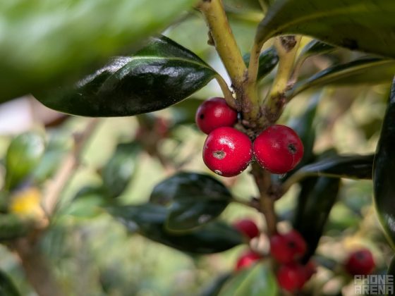 Первые впечатления от Google Pixel 9a фото