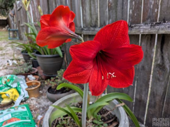 Первые впечатления от Google Pixel 9a фото