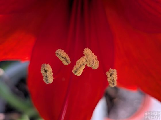 Первые впечатления от Google Pixel 9a фото