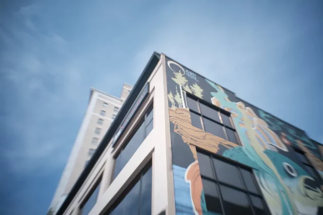 Обзор PolarPro LightLeak 16mm: настолько плох, что великолепен фото