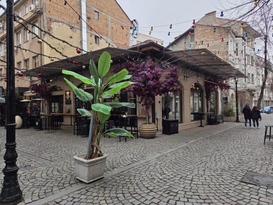 Samsung Galaxy S25 против Google Pixel 9: битва флагманов фото