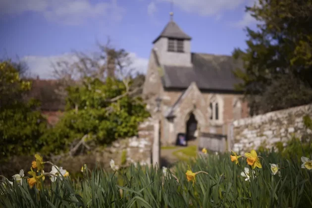 Обзор Sigma BF: он такой потрясающий, что мне плевать на недостатки фото