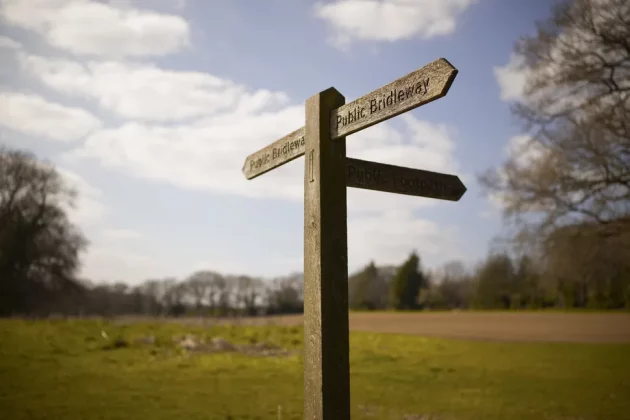 Обзор Sigma BF: он такой потрясающий, что мне плевать на недостатки фото