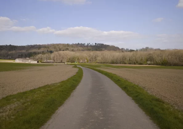 Обзор Sigma BF: он такой потрясающий, что мне плевать на недостатки фото