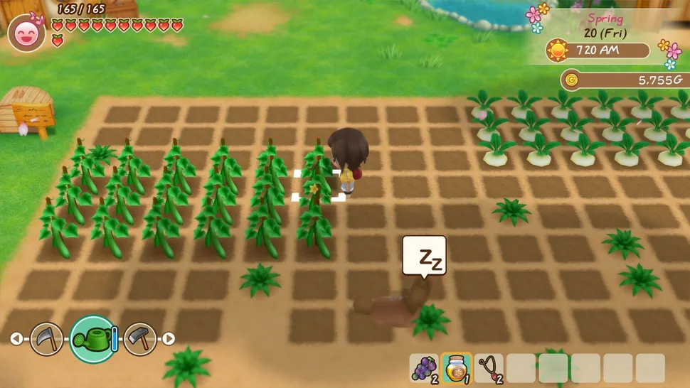 Story of Seasons Friends of Mineral Town