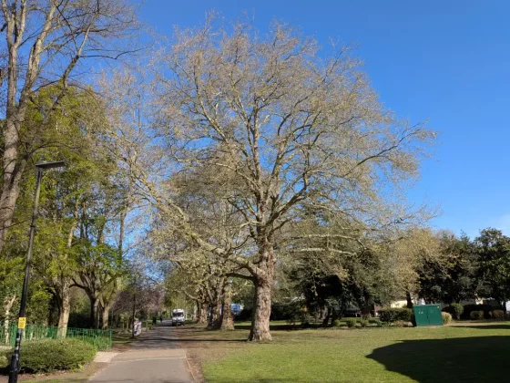 Обзор Pixel 9a: мастерский игрок среднего звена фото