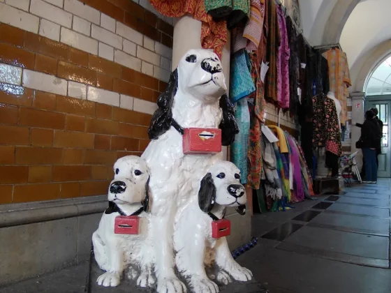 Обзор Yashica City 100: продвинутая «дешевая» камера с зумом фото