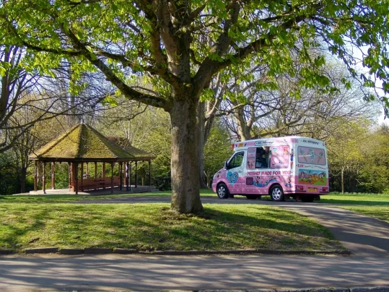 Обзор Yashica City 100: продвинутая «дешевая» камера с зумом фото