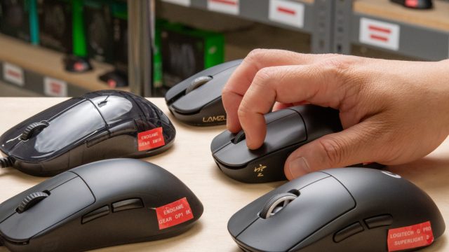 Лучшие мыши с когтевым хватом