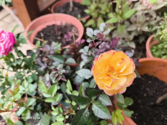 Ulefone Armor 30 Pro-11