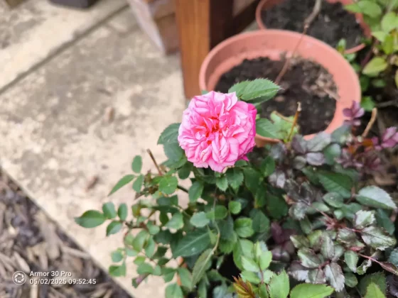 Ulefone Armor 30 Pro-15