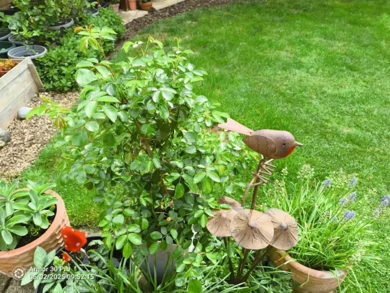 Ulefone Armor 30 Pro-17