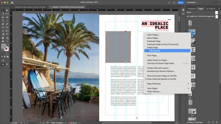 Adobe InDesign-1