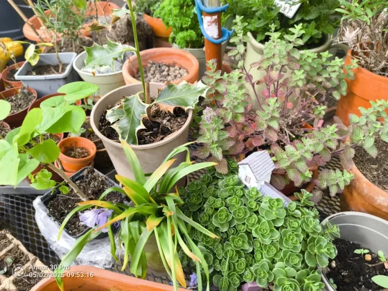 Ulefone Armor 30 Pro-18