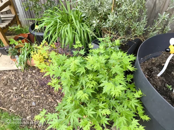 Ulefone Armor 30 Pro-19