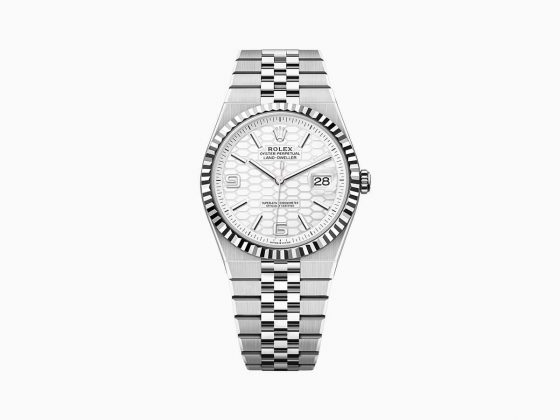 Rolex Oyster Perpetual Land-Dweller 40 in White Rolesor