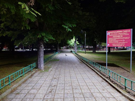 Sony Xperia 1 VII-29