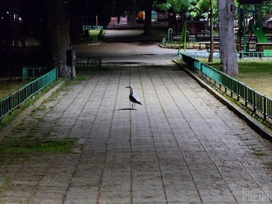 Sony Xperia 1 VII-32