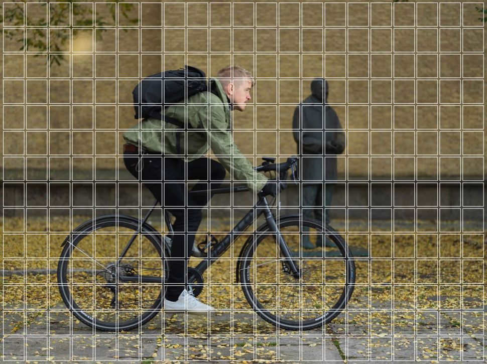 Fujifilm GFX 100 II против Hasselblad X2D 100C-4