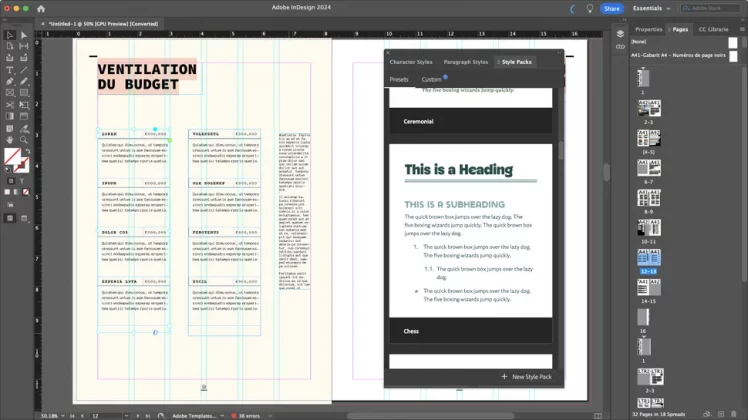 Adobe InDesign-3