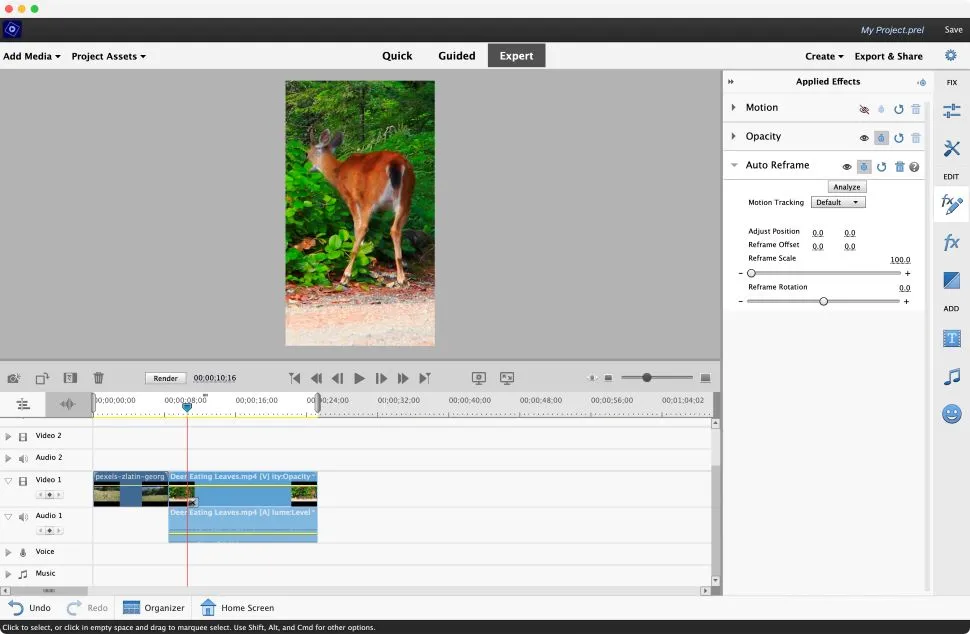 Adobe Premiere Elements