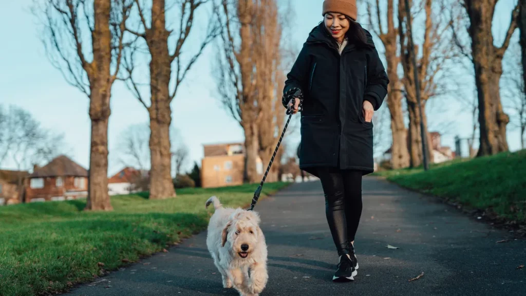 бесшумная ходьба